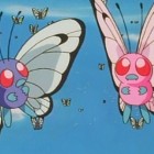 Butterfree 1