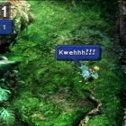 Chocobo Hot and Cold Header