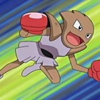 Hitmonchan Screenshot
