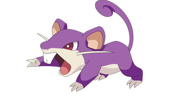 Ratatta Header
