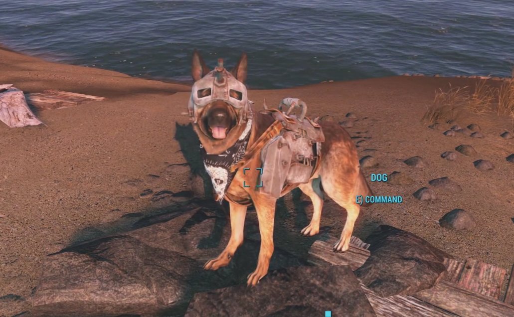 Fallout 4: Where to Find Armor for Dogmeat and How to Have It Equip