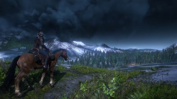 Witcher 3b