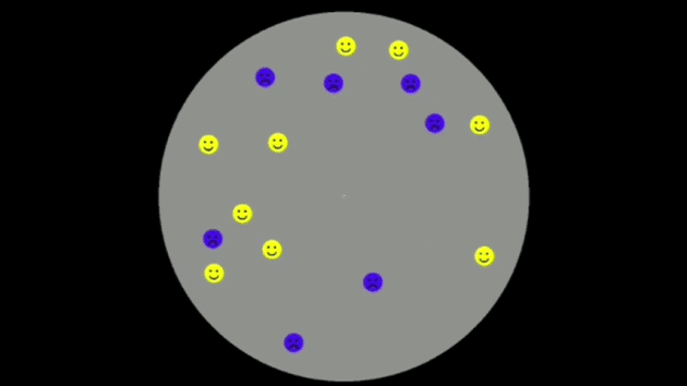 Prof. Daphne Bavelier's test video game